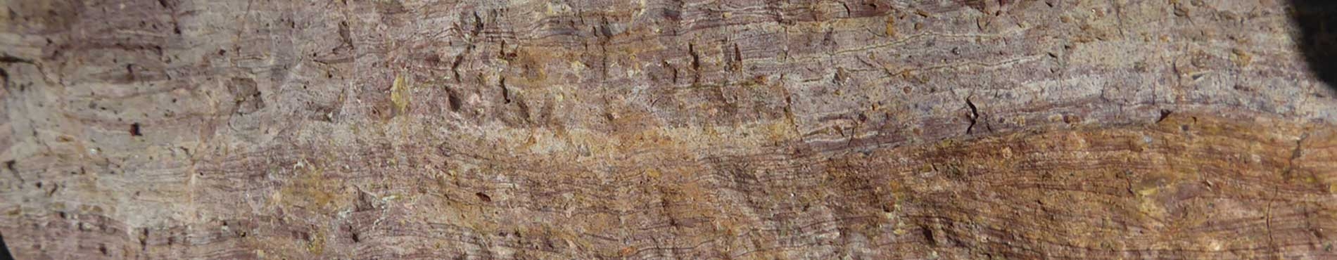 Geoconservació preventita