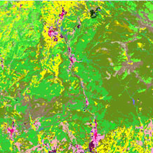 Mapa de cobertes del sòl