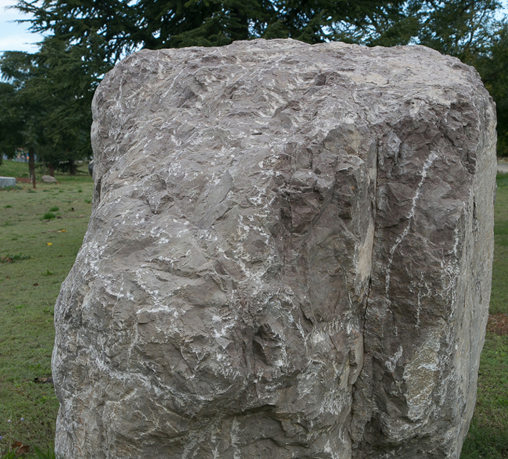 Lacustrine limestone