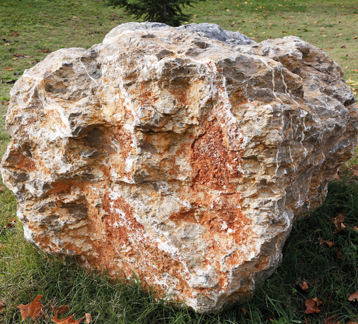Bioclastic limestone II