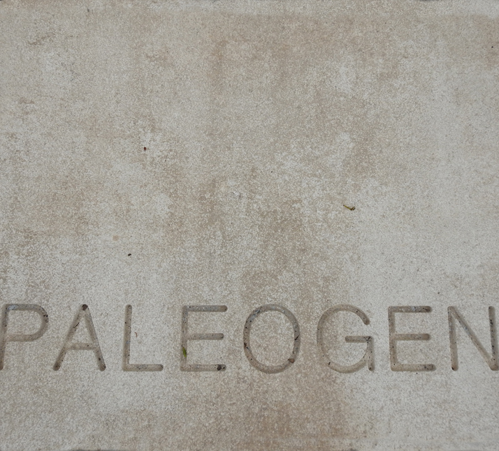 PALEOGEN