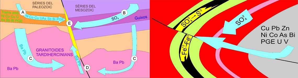 Models de formació