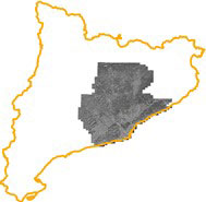 1977, 25 cm b/n