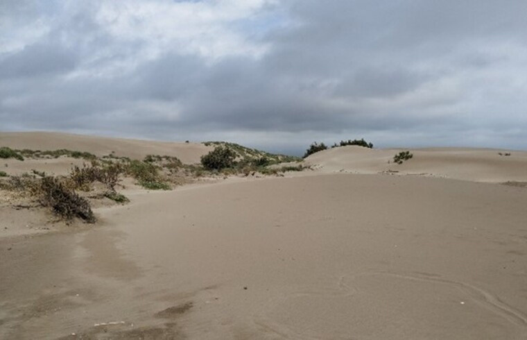 Descubrimos los secretos geológicos que esconde la arena de las playas