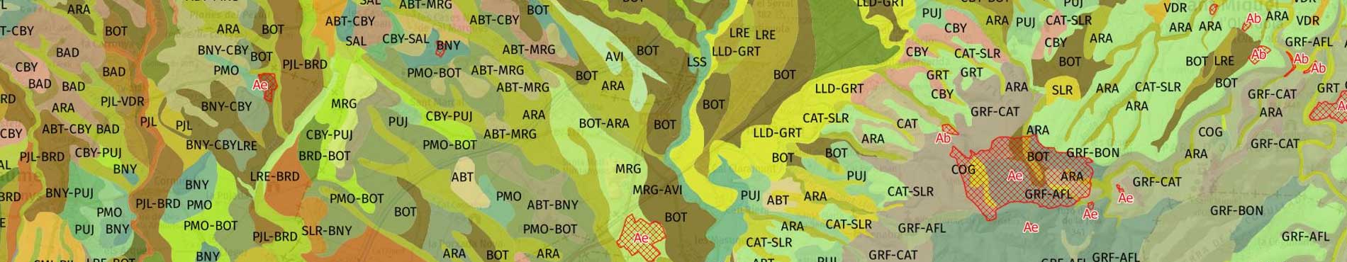 Mapa de sòls 1:25.000 (continu)