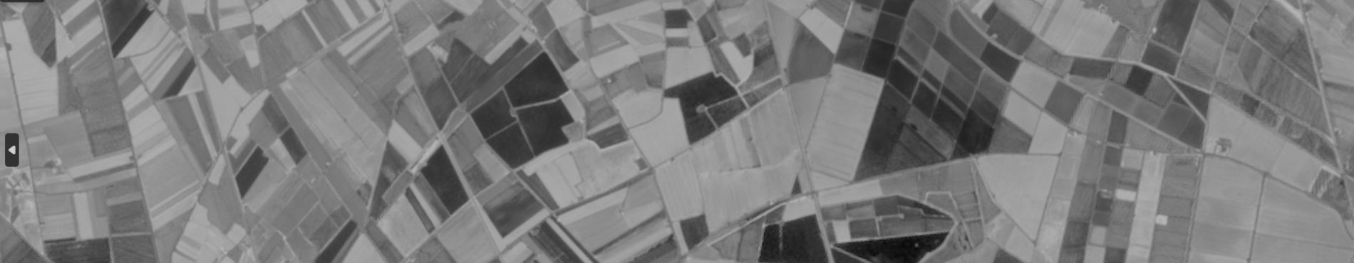 WMS NDVI satèl·lit