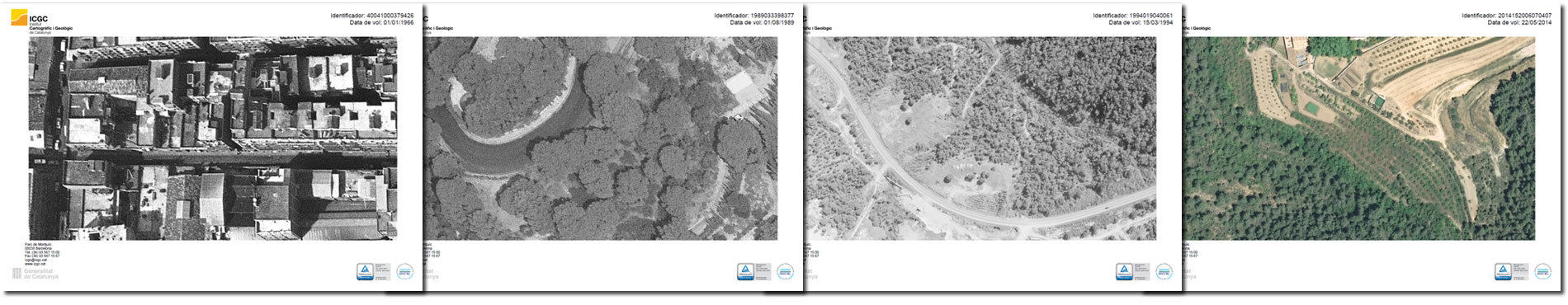Photo library service
