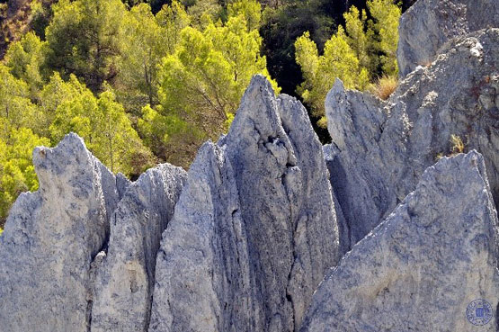 Badlands sobre la farina de falla (Olesa de Montserrat)