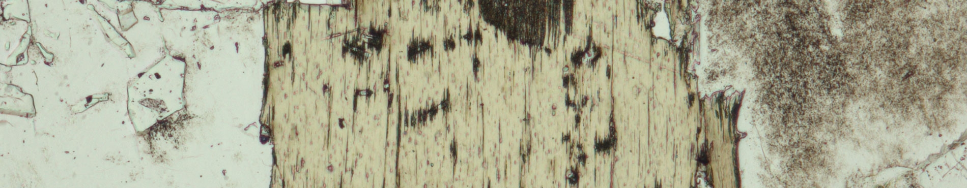 El concepte mineral