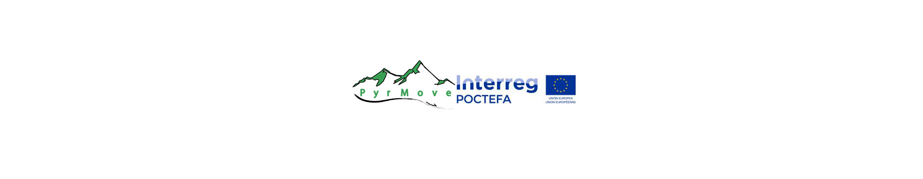 PYRMOVE