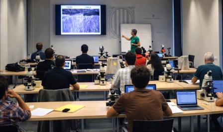 Vissió de l'aula en el desenvolupament del curs
