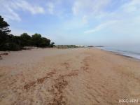 Platja de l’Estany Gelat (Mont-Roig del Camp, Baix Camp)