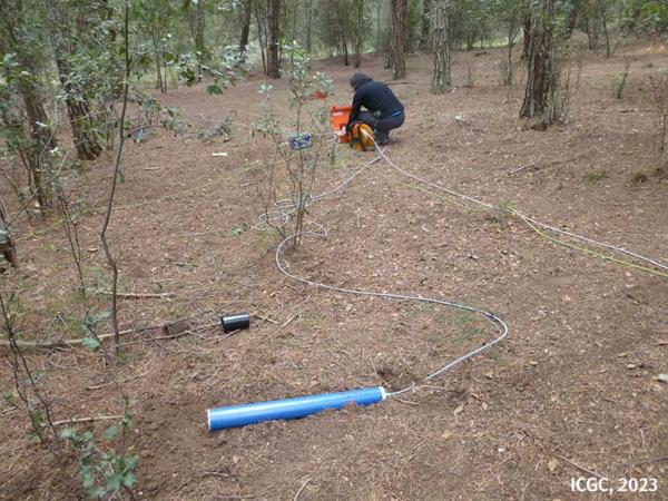 Un tècnic està situant instruments i cablejat en superfície per a mesures geofísiques en una zona de bosc.