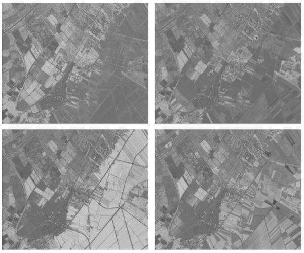 NDVI Satàl·lit casos d'ús