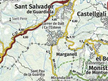 WMS Topographic map 1:250,000