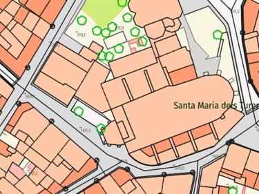 WMS Referencial Topogràfic Local