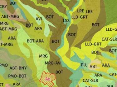 Mapa de sòls 1:25.000 (continu)
