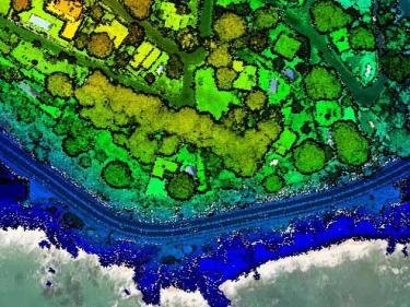Lidar litoral