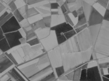 NDVI satèl·lit