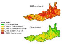 The Normalized Burned Area (NBR) index is an index designed to highlight burned areas in large fire zones