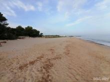 Platja de l’Estany Gelat (Mont-Roig del Camp, Baix Camp)