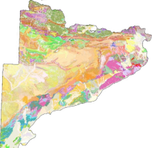 Geological map of Catalonia at 1:50,000 scale