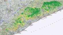 Mapa on es mostra que el decaïment de la massa forestal s'estén per tota la zona d'estudi Mapa on es mostra que el decaïment de la massa forestal s'estén per tota la zona d'estudi