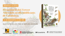 Targetó de l'acte Targetó de l'acte